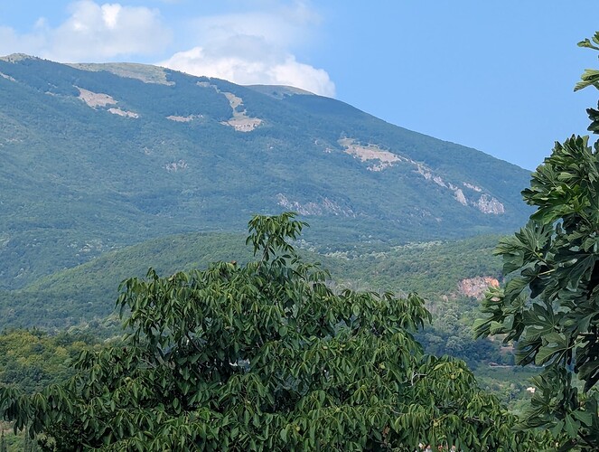PXL_20250808_074544859_1