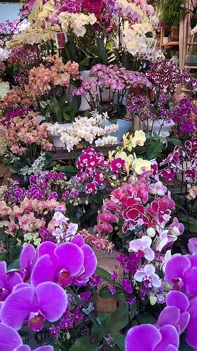 IMG-20251101-WA0012(1)