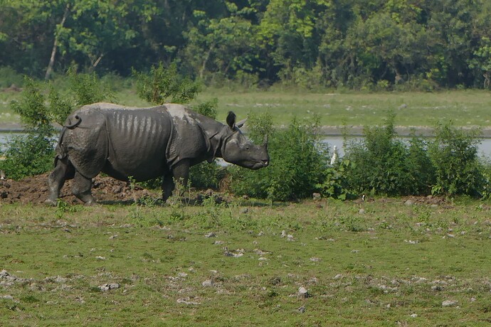 P1330690