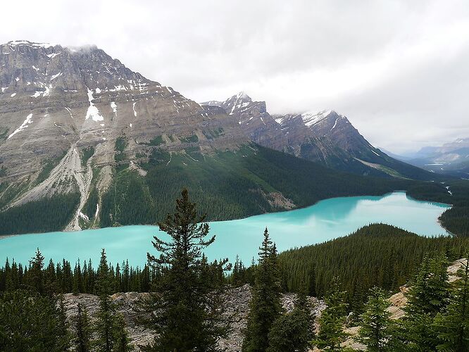 L'Ouest canadien à pleins poumons: épisode 1, les Rocheuses et la chaîne Alberta - fabienne65