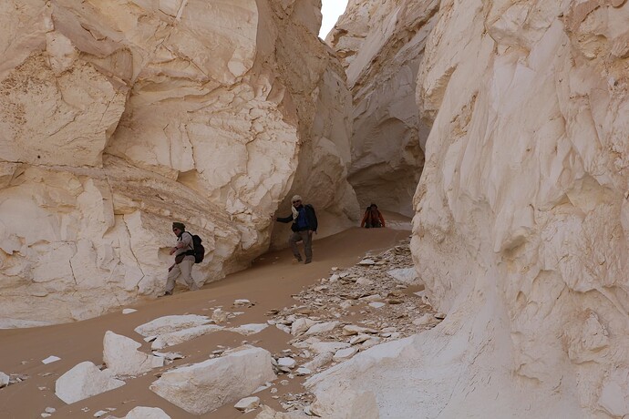 03_05 Desert blanc