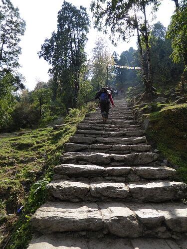 Vers le camp de base de l'Annapurna ! - fab_lio