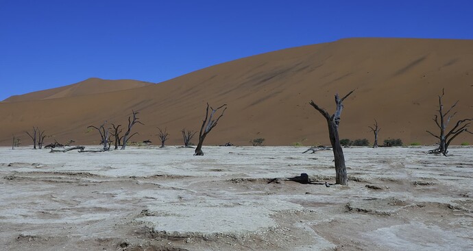 Deadvlei