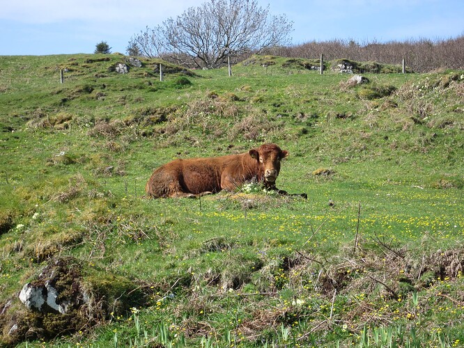 Ecosse 2013 377