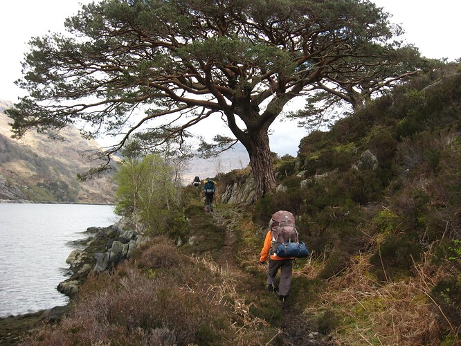 Ecosse (141)