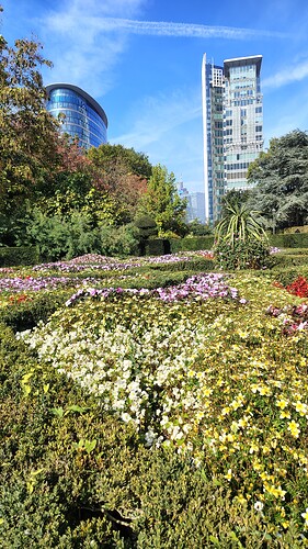 IMG_20251001_132617681_HDR
