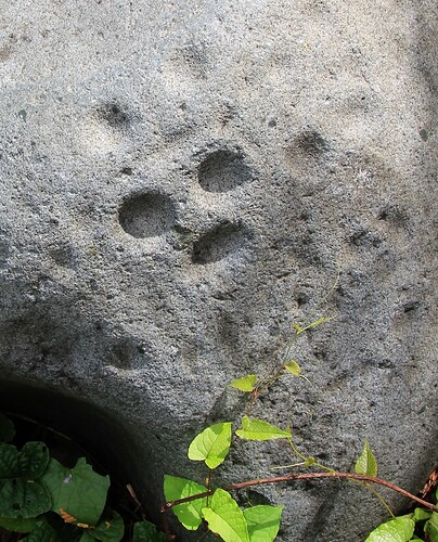 L'effigie d'un visage gravé ?