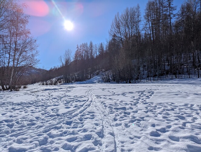 PXL_20250214_094050489_1