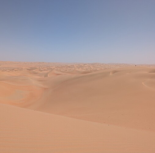 PXL_20250417_061350363~2_1