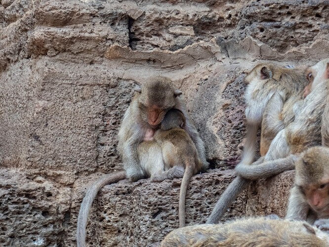 Phra Prang Sam Yod