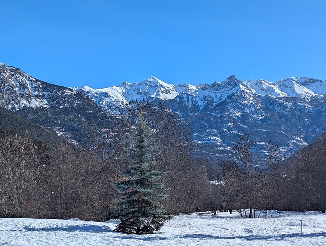 PXL_20260224_100910477_1