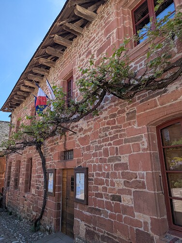 PXL_20260418_135207160_1
