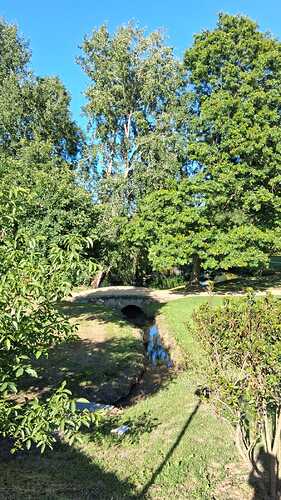 IMG-20250727-WA0025