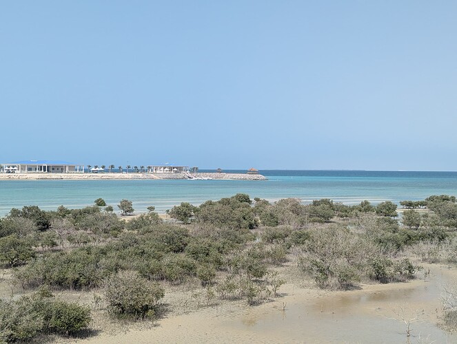 PXL_20250417_104121917_1