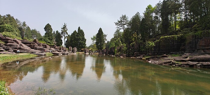 IMG20250413104809