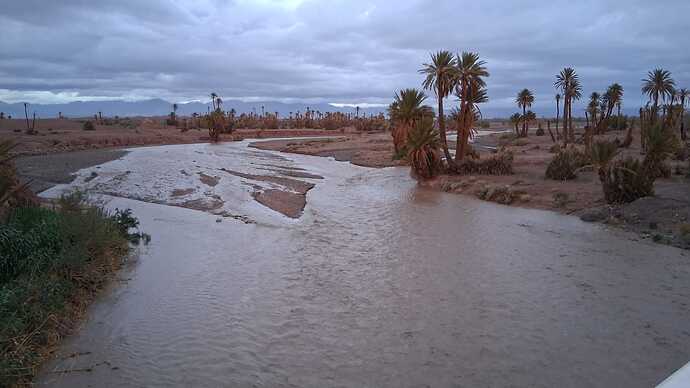 IMG-20260321-WA0003