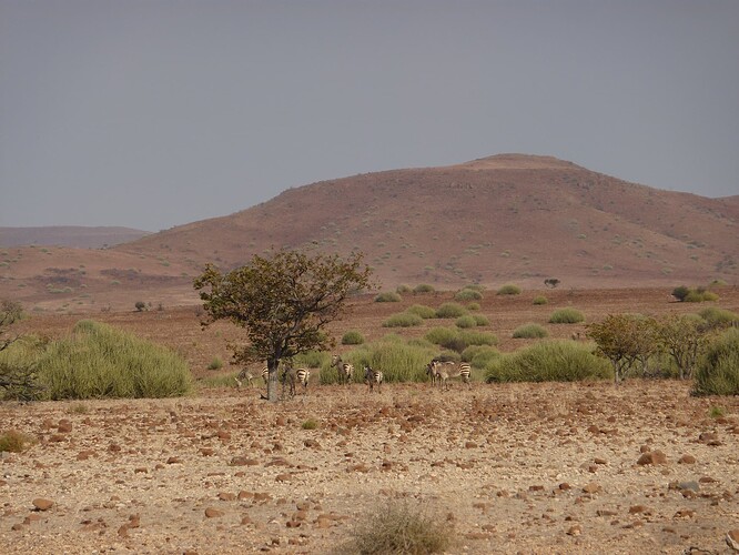 P1150632