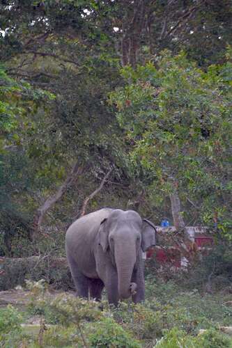 WhatsApp Image 2025-10-29 at 08.59.43