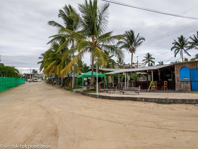 12 jours aux Îles Galápagos en autonomie, c'est vraiment merveilleux! - un-tuk-tuk-pour-deux