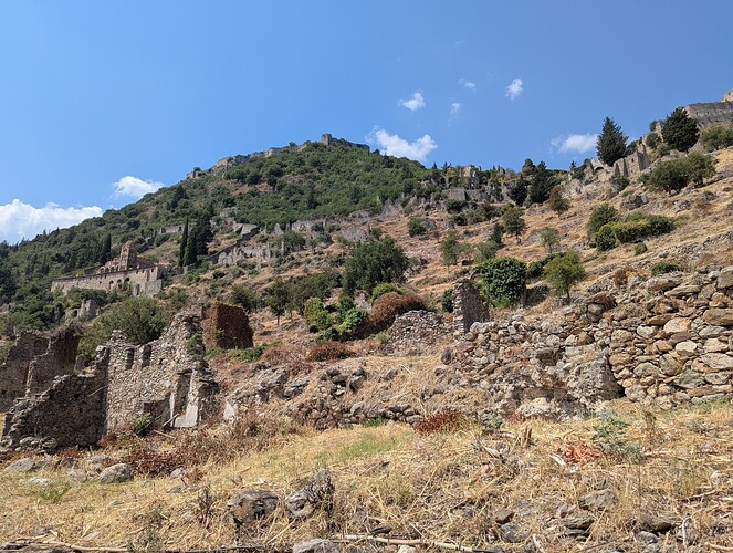 PXL_20250717_083256915_1