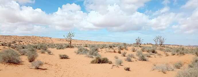 IMG-20250416-WA0010
