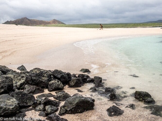 12 jours aux Îles Galápagos en autonomie, c'est vraiment merveilleux! - un-tuk-tuk-pour-deux