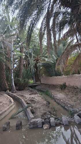 IMG-20260320-WA0042
