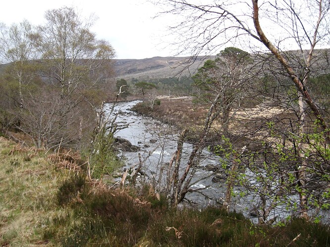 Ecosse (263)
