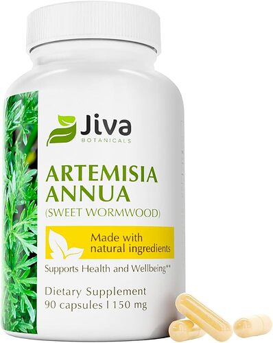 Artemisia