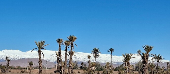 IMG-20251229-WA0004