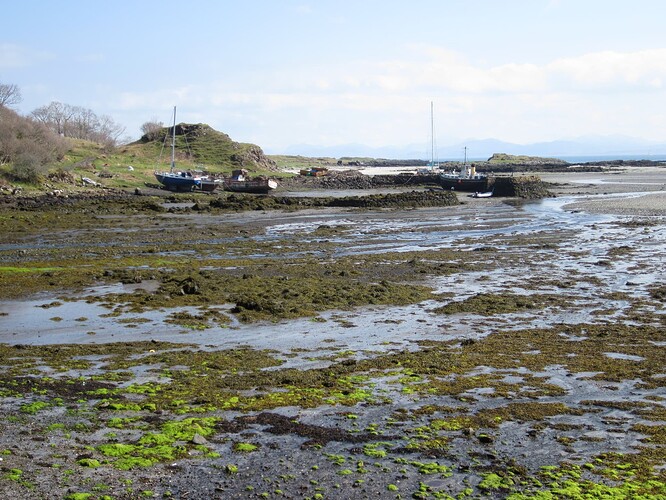 Ecosse 2013 376