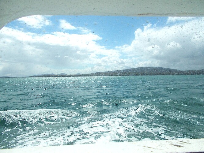 DSCN5468