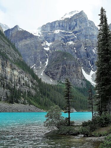 L'Ouest canadien à pleins poumons: épisode 1, les Rocheuses et la chaîne Alberta - fabienne65