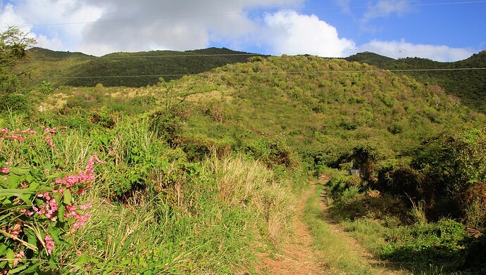 Le bon sentier vers la Roche Moho ?