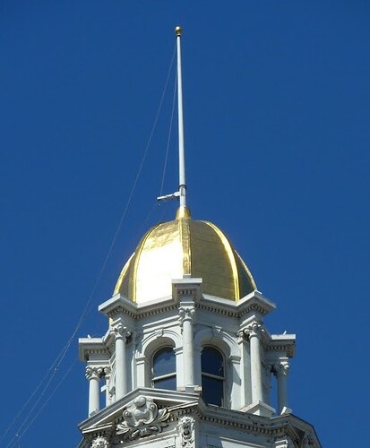 P118081881