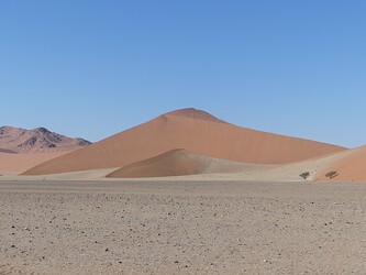 P1000614