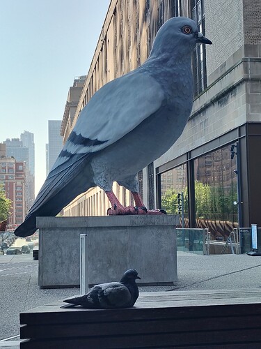 IMG_20250619_090450025_HDR