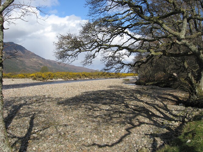 Ecosse (303)