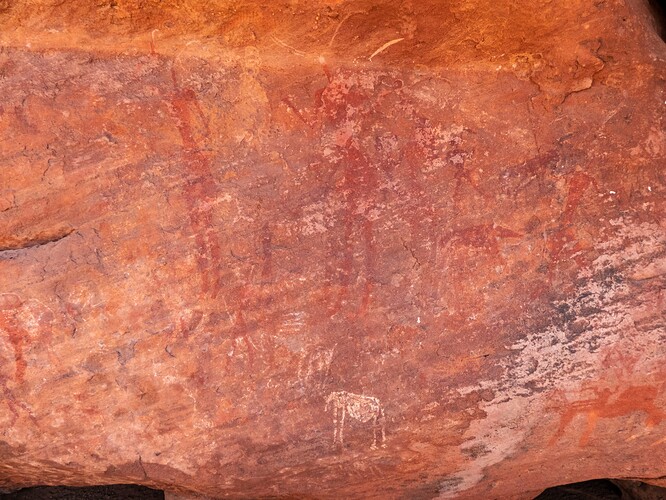 Peintures rupestres
