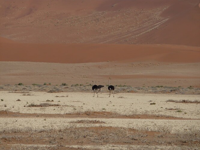 P1140800