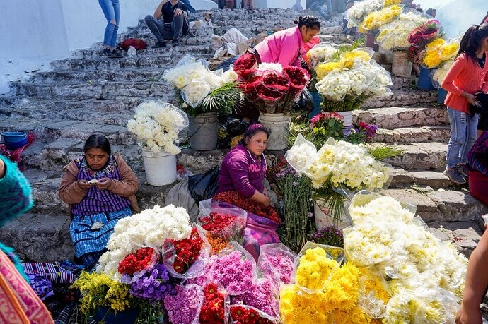 15 jours au Guatemala  - rosie31