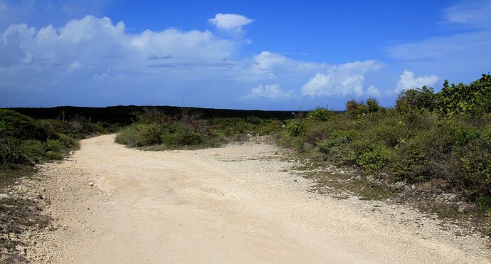 Piste vers Savannah beach