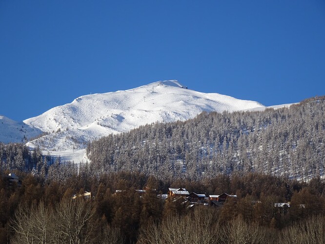 DSC02917_1