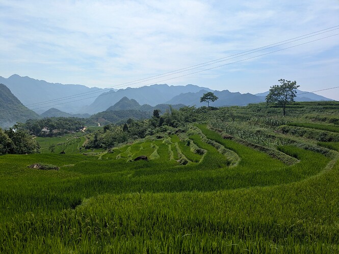 PXL_20250505_024014492