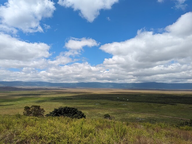 7- 7ème jour matinée au Serengeti, après midi au cratère de Ngorongoro 21.06 (66)