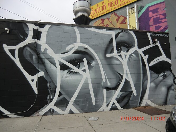 CIMG1805