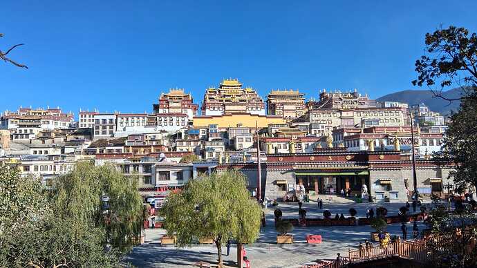 IMG-20251117-WA0005