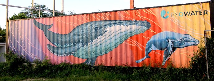 Baleine ... rayée ...