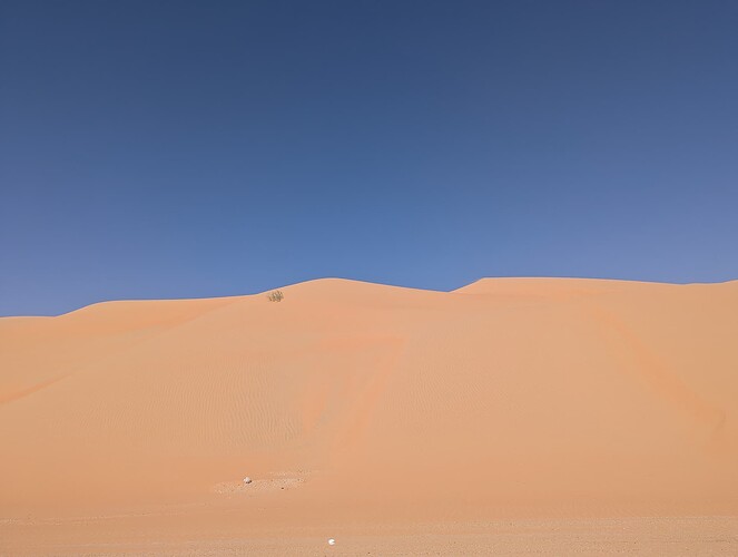PXL_20250417_051002368_1