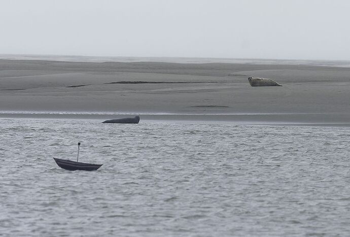 5 jours en Baie de Somme : un séjour très varié autour de Saint-Valéry - La-Corse-a-petits-pas